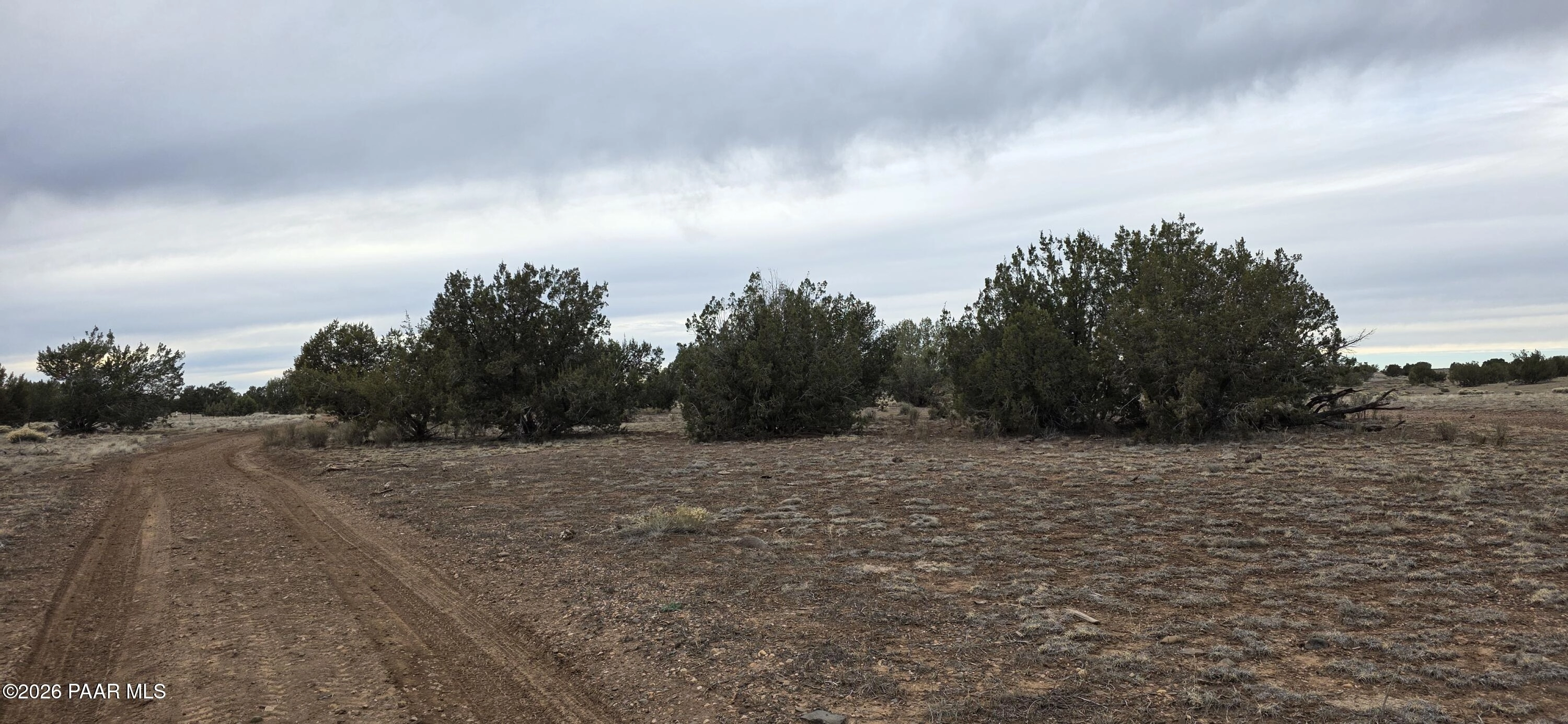 214 Juniper Woods, Ash Fork, AZ 86320 photo 5