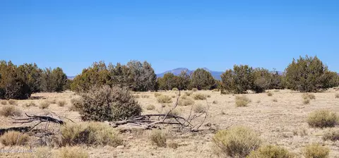 251 Se4 Juniperwood Rnch, Ash Fork, AZ 86320 photo 8