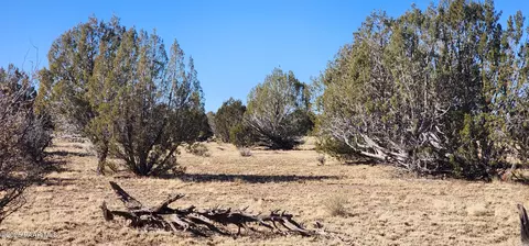 251 Se4 Juniperwood Rnch, Ash Fork, AZ 86320 photo 14