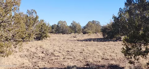 251 Se4 Juniperwood Rnch, Ash Fork, AZ 86320 photo 12