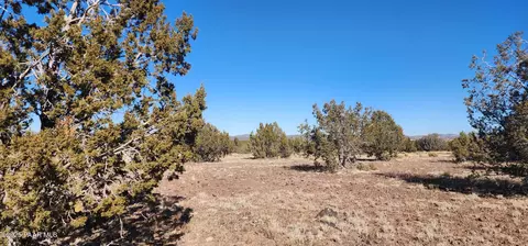251 Se4 Juniperwood Rnch, Ash Fork, AZ 86320 photo 19