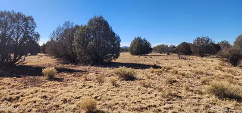 251 Se4 Juniperwood Rnch, Ash Fork, AZ 86320 photo 6
