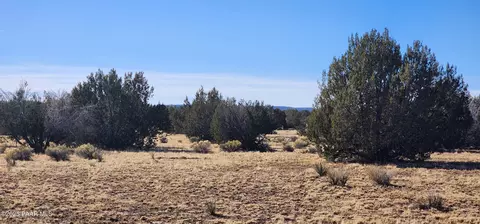 251 Se4 Juniperwood Rnch, Ash Fork, AZ 86320 photo 13