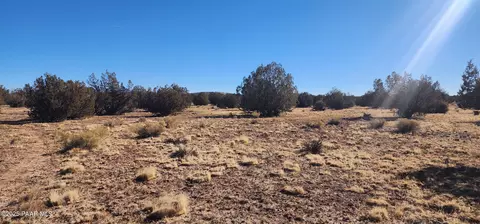 251 Se4 Juniperwood Rnch, Ash Fork, AZ 86320 photo 5