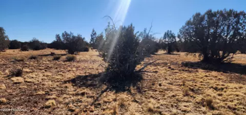 251 Se4 Juniperwood Rnch, Ash Fork, AZ 86320 photo 4