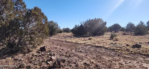 251 Se4 Juniperwood Rnch, Ash Fork, AZ 86320 photo 9
