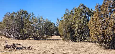 251 Se4 Juniperwood Rnch, Ash Fork, AZ 86320 photo 3