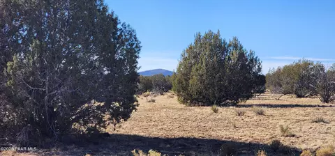 251 Se4 Juniperwood Rnch, Ash Fork, AZ 86320 photo 7