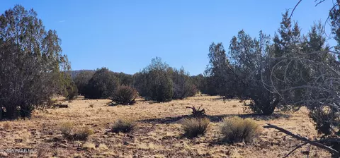 251 Se4 Juniperwood Rnch, Ash Fork, AZ 86320 photo 16