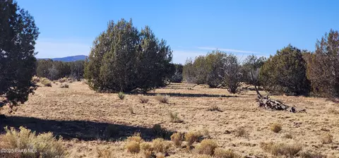 251 Se4 Juniperwood Rnch, Ash Fork, AZ 86320 photo 2