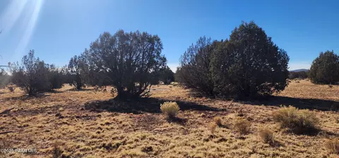 251 Se4 Juniperwood Rnch, Ash Fork, AZ 86320 photo 17