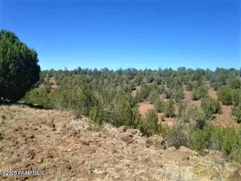 357 Lucky Ln, Ash Fork, AZ 86320 photo 11