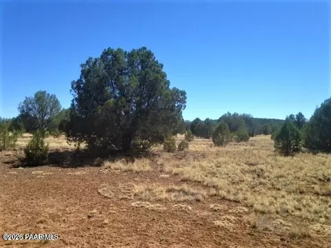 357 Lucky Ln, Ash Fork, AZ 86320 photo 3