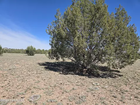 390 Haywire Rd, Ash Fork, AZ 86320 photo 8