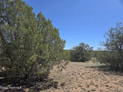 390 Haywire Rd, Ash Fork, AZ 86320 photo 9