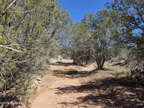 390 Haywire Rd, Ash Fork, AZ 86320 photo 3
