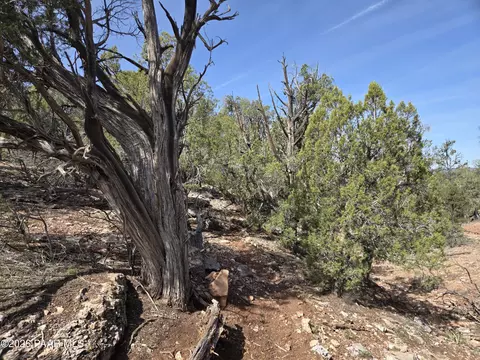 390 Haywire Rd, Ash Fork, AZ 86320 photo 13