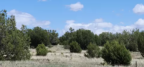 12 Juniperwood Rnch # B, Ash Fork, AZ 86320 photo 17
