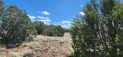 12 Juniperwood Rnch # B, Ash Fork, AZ 86320 photo 12