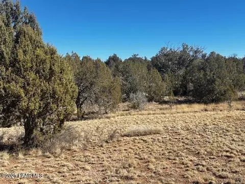32372 Ancho Rd, Seligman, AZ 86337