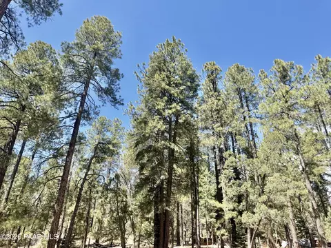 3200 E Misty Mountain Loop, Prescott, AZ 86303