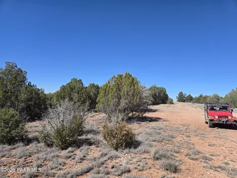 55688 N Latigo Rd, Seligman, AZ 86337