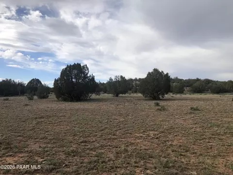 302-17 306 Haywire Rd, Ash Fork, AZ 86320 photo 7