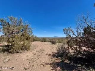 302-17 306 Haywire Rd, Ash Fork, AZ 86320 photo 17