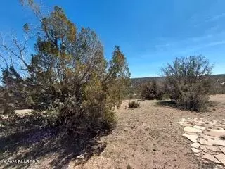 302-17 306 Haywire Rd, Ash Fork, AZ 86320 photo 18
