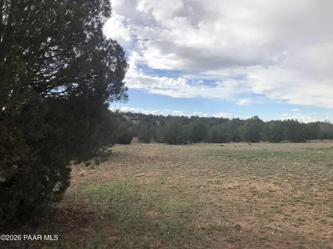 302-17 306 Haywire Rd, Ash Fork, AZ 86320 photo 12