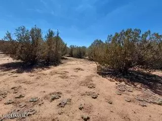 302-17 306 Haywire Rd, Ash Fork, AZ 86320 photo 20