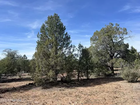 5 Deer Droppings, Ash Fork, AZ 86320 photo 6