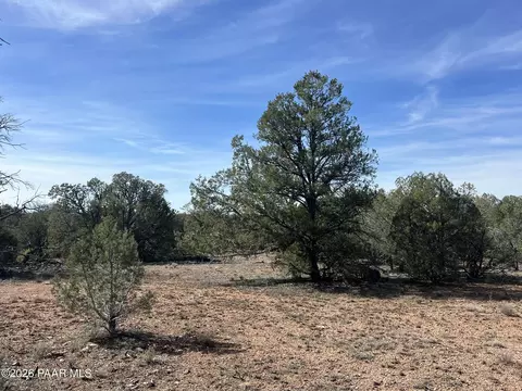 5 Deer Droppings, Ash Fork, AZ 86320 photo 8