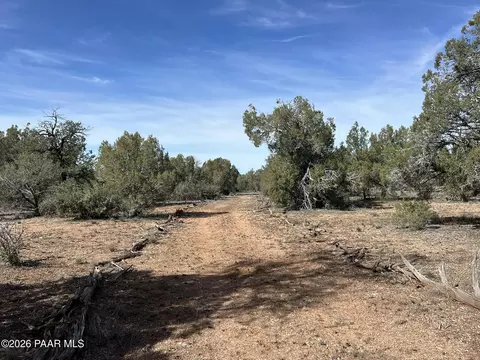 5 Deer Droppings, Ash Fork, AZ 86320 photo 7