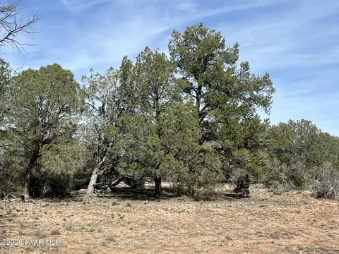 5 Deer Droppings, Ash Fork, AZ 86320 photo 5