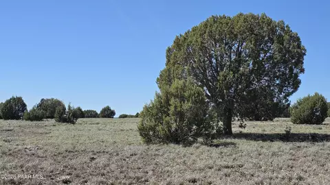 lot6 Off Ten Tanks Rd, Ash Fork, AZ 86320 photo 18