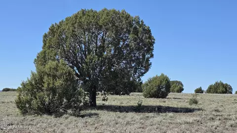 lot6 Off Ten Tanks Rd, Ash Fork, AZ 86320 photo 19