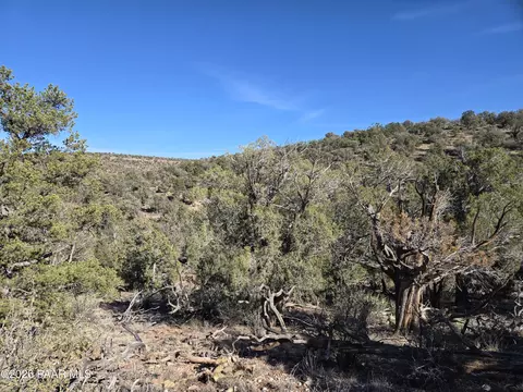 446 Arizona Rd, Ash Fork, AZ 86320 photo 10