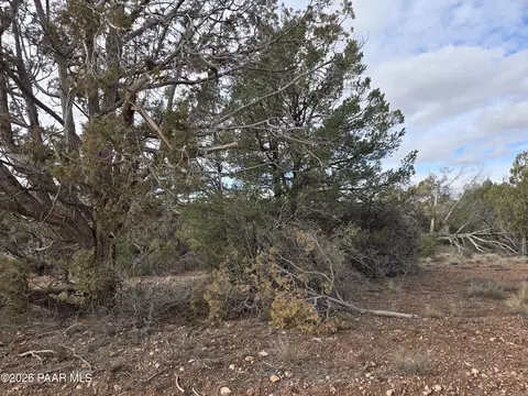 446 Arizona Rd, Ash Fork, AZ 86320 photo 4