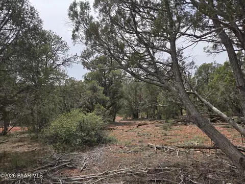 61 Raney Rd, Ash Fork, AZ 86320 photo 13