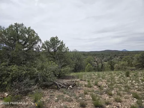 61 Raney Rd, Ash Fork, AZ 86320 photo 10