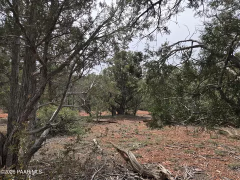 61 Raney Rd, Ash Fork, AZ 86320 photo 11