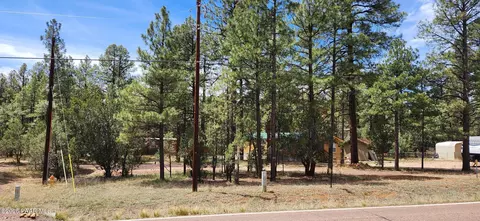 2890 Pine Rim Rd, Overgaard, AZ 85933
