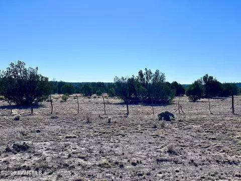 145 NE Reckless Ln, Ash Fork, AZ 86320 photo 3