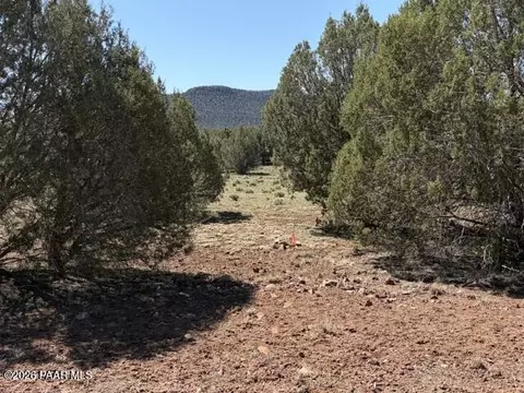 lot851 Fort Rock Rd, Seligman, AZ 86337