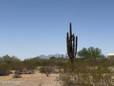 lot4 S Cactus Garden Way, Marana, AZ 85653