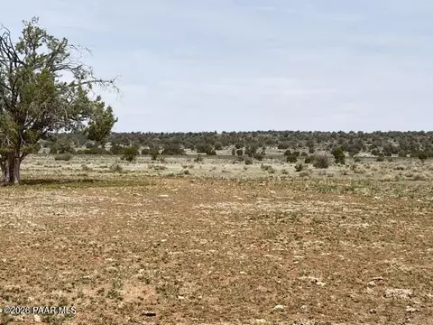 595 Ravens Rst, Seligman, AZ 86337
