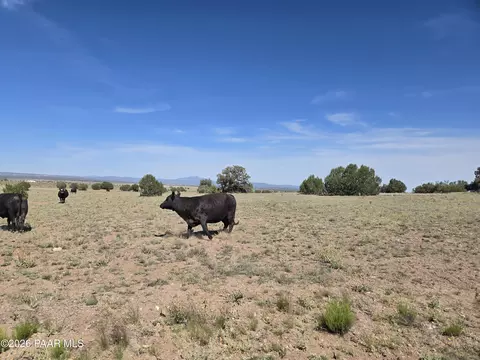 256 Old Antelope Run Rd # D, Ash Fork, AZ 86320 photo 2