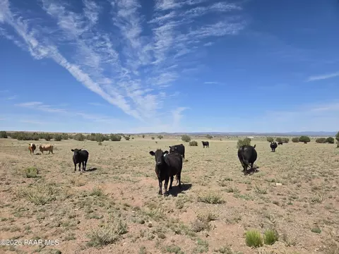 256 Old Antelope Run Rd # D, Ash Fork, AZ 86320 photo 3