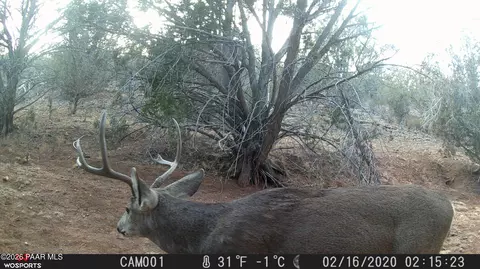 918 Wolf Rd, Ash Fork, AZ 86320 photo 10